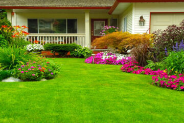 اعمال لاندسكيب landscape