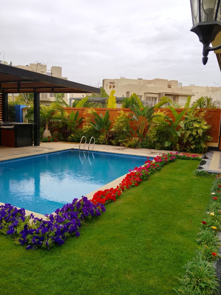 تصميم حمام سباحة مع تنسيق حدائق حديث بعد التنفيذ